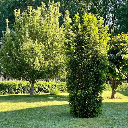 Apartment Mund - Adults Only